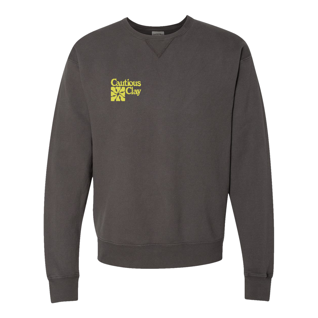 Cautious Clay Embroidered Pigment Dye Crewneck