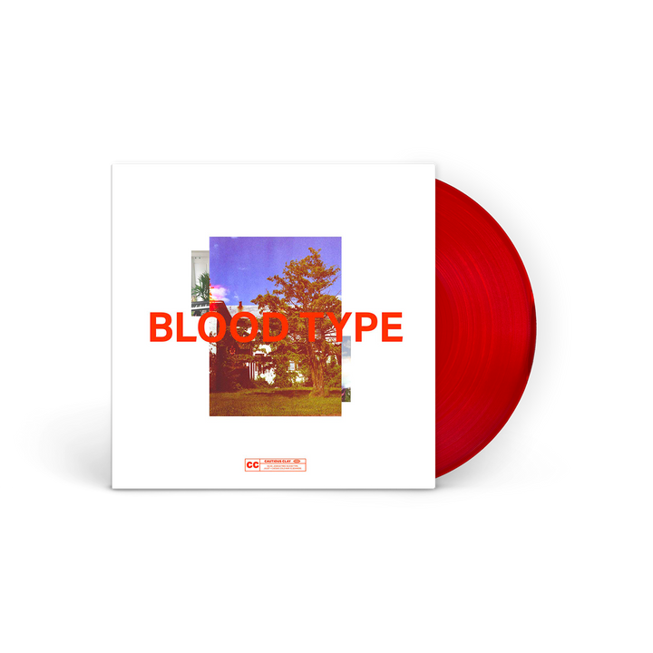 Blood Type 12" Vinyl
